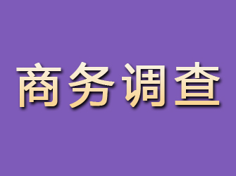 铜川商务调查